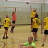 Volleyballtunrier 2020