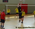 Volleyball Stadtmeisterschaft 2013